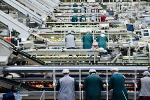 Funcionários em fábrica de alimentos representando a importação de insumos para indústria alimentícia